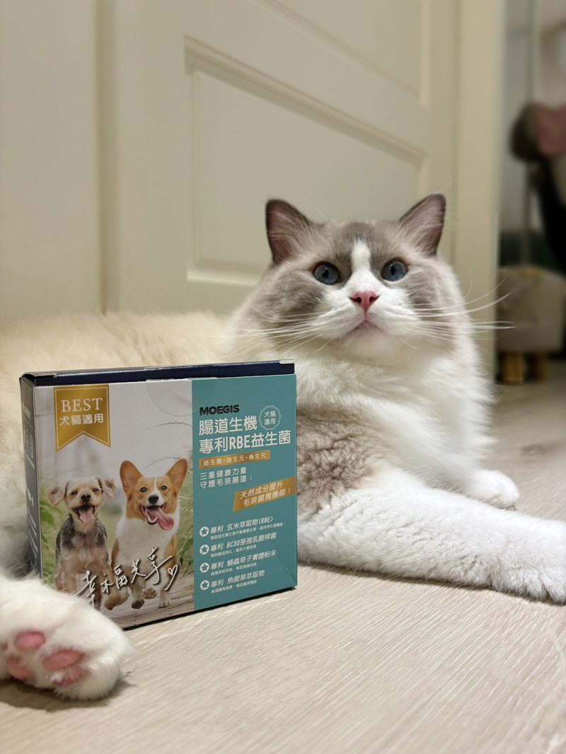 女人知己試用大隊,口碑行銷,部落客行銷,Moegis萌吉 腸道生機專利RBE益生菌,寵物益生菌,專利RBE益生元,專利蔬果酵素,小分子胜肽,藍藻粉,維持免疫力,幫助維持消化道機能,維持正常食慾,改變細菌叢生態,腸胃保健,犬貓適用